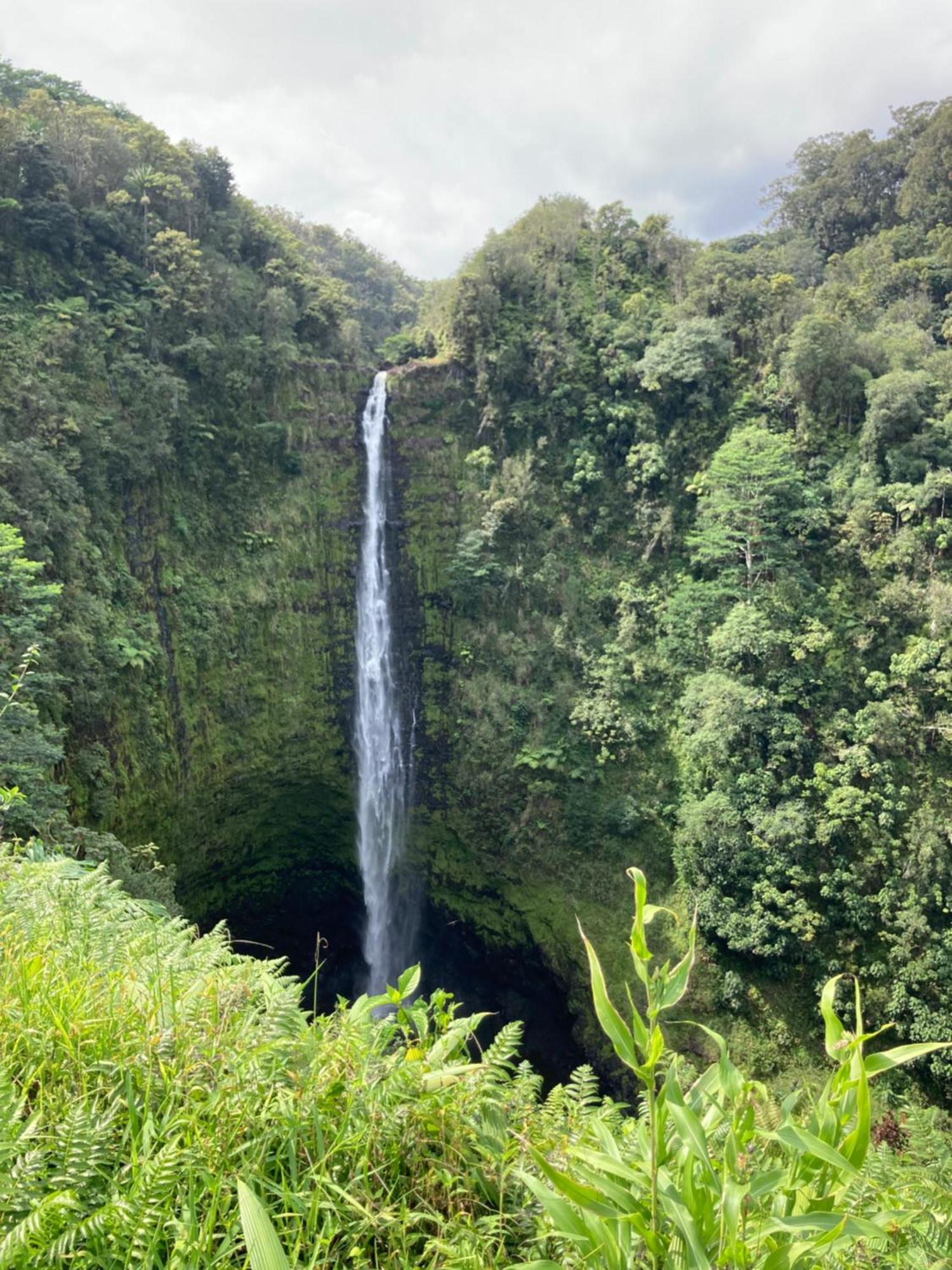 Hilo Bay Oceanfront Bed And Breakfast Esterno foto