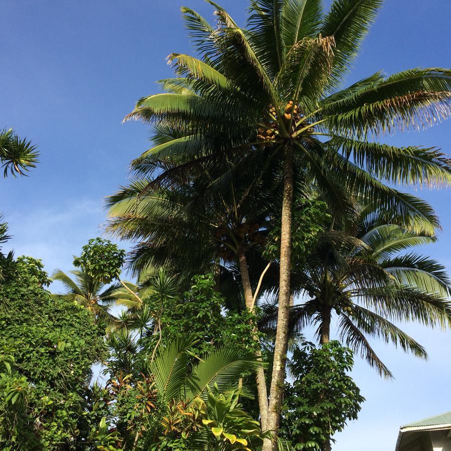 Hilo Bay Oceanfront Bed And Breakfast Esterno foto